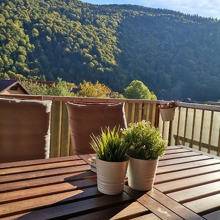 Miro Apartament Sinaia Exteriör bild