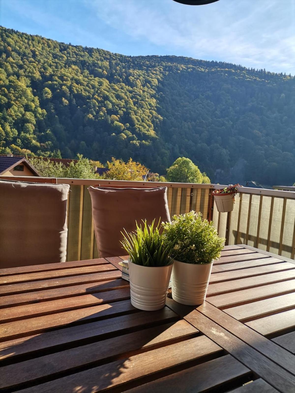 Miro Apartament Sinaia Exteriör bild