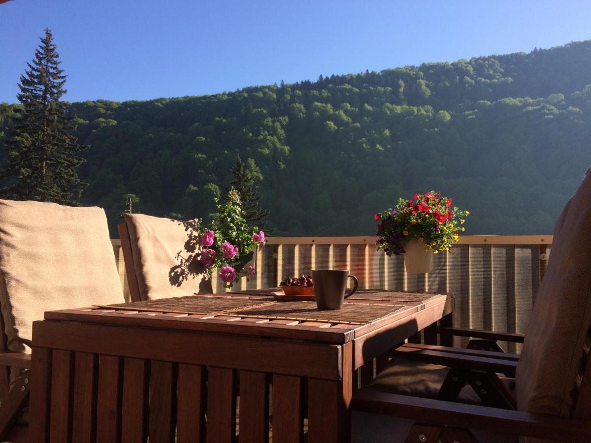 Miro Apartament Sinaia Exteriör bild